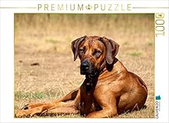 Calvendo puzzle ridgebacks d'occasion  Livré partout en France