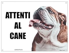 Bulldog attenti cane usato  Spedito ovunque in Italia 