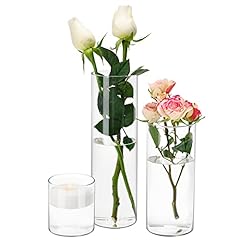 Cucumi cylinder vases for sale  Delivered anywhere in USA 