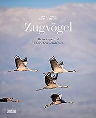Zugvögel reisewege überleben gebraucht kaufen  Wird an jeden Ort in Deutschland