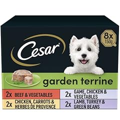 Cesar garden terrine for sale  Delivered anywhere in UK