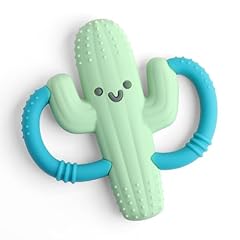 Itzy ritzy cactus for sale  Delivered anywhere in USA 