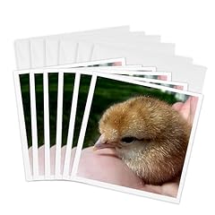 3drose greeting cards for sale  Delivered anywhere in USA 