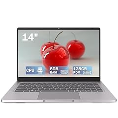 Pinstone ordinateur portable d'occasion  Livré partout en France