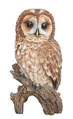 Vivid arts tawny for sale  Delivered anywhere in UK