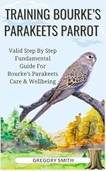 Training bourke parakeets for sale  Delivered anywhere in USA 
