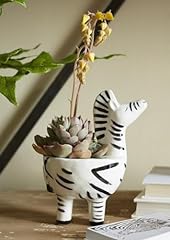 Sparkdazzle zebra planter for sale  Delivered anywhere in USA 