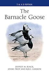 Barnacle goose for sale  Delivered anywhere in UK