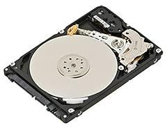 Seagate diamondmax plus usato  Spedito ovunque in Italia 