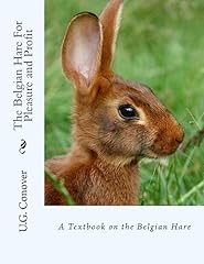 The belgian hare d'occasion  Livré partout en Belgiqu