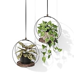 Bamworld plant hangers for sale  Delivered anywhere in USA 