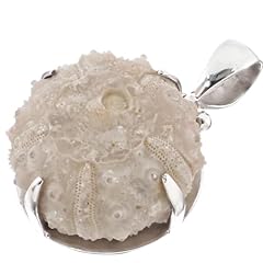 Adoreable moroccan fossil for sale  Delivered anywhere in USA 