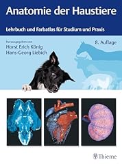 Anatomie haustiere lehrbuch gebraucht kaufen  Wird an jeden Ort in Deutschland