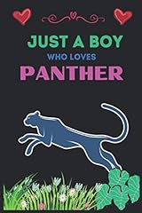 Boy loves panther for sale  Delivered anywhere in UK