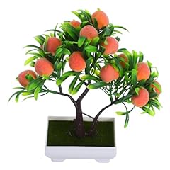 Cabilock pianta bonsai usato  Spedito ovunque in Italia 