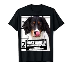 Wanted english springer for sale  Delivered anywhere in USA 