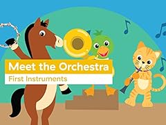 Meet orchestra first for sale  Delivered anywhere in USA 