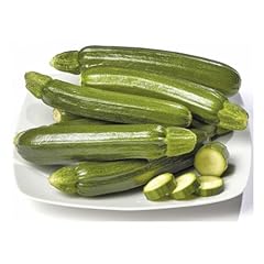 Zucchine scure 700g usato  Spedito ovunque in Italia 