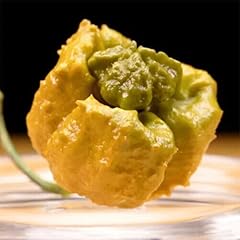 Semi peperoncino pepper usato  Spedito ovunque in Italia 