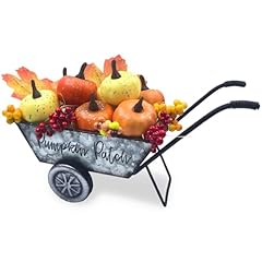 Teeloray fall pumpkin for sale  Delivered anywhere in USA 
