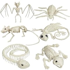 Aofox squelettes animaux d'occasion  Livré partout en France