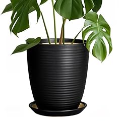 Epfamily ceramic plant for sale  Delivered anywhere in USA 