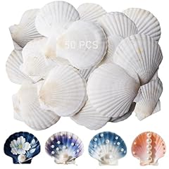 Stück muscheln natürliche gebraucht kaufen  Wird an jeden Ort in Deutschland
