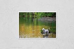 Wall art poster for sale  Delivered anywhere in USA 