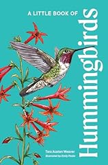 Little book hummingbirds for sale  Delivered anywhere in USA 