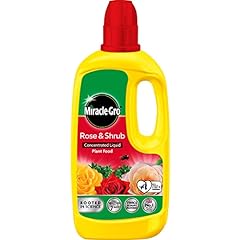 Miracle gro rose for sale  Delivered anywhere in UK