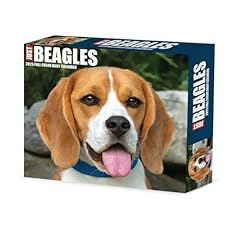 Beagles 2025 box for sale  Delivered anywhere in UK