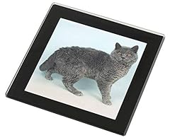 Advanta group silver for sale  Delivered anywhere in UK