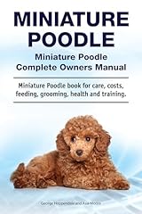 Miniature poodle. miniature for sale  Delivered anywhere in UK