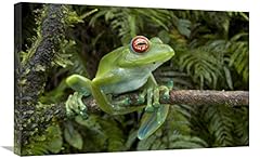 Global grenouille pieds d'occasion  Livré partout en France