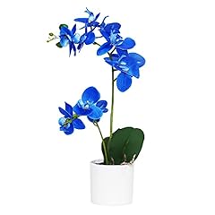 Omygarden blue orchid for sale  Delivered anywhere in USA 