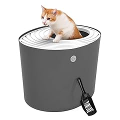 Iris usa cat for sale  Delivered anywhere in USA 