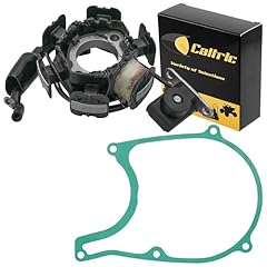 Caltric stator gasket for sale  Delivered anywhere in USA 