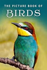 Picture book birds for sale  Delivered anywhere in USA 