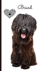 Briard journal notebook for sale  Delivered anywhere in UK