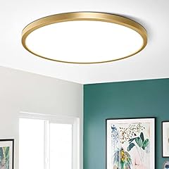 15.7inch led ceiling for sale  Delivered anywhere in USA 