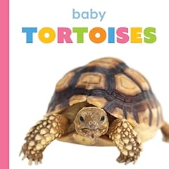 Baby tortoises for sale  Delivered anywhere in USA 