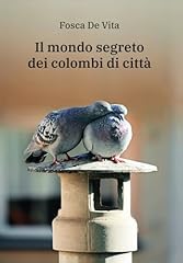 Segreto dei colombi usato  Spedito ovunque in Italia 