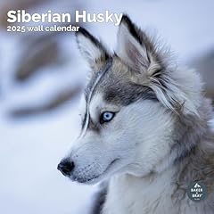 Baker bray siberian for sale  Delivered anywhere in UK