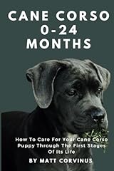 Cane corso months for sale  Delivered anywhere in USA 