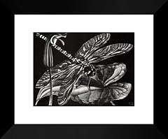 Dragonfly 20x24 framed for sale  Delivered anywhere in USA 