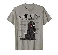 Funny anatomy newfoundland for sale  Delivered anywhere in USA 