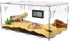 Giznzg acrylic tarantula for sale  Delivered anywhere in USA 