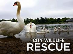 City wildlife rescue for sale  Delivered anywhere in USA 