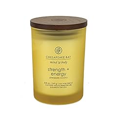 Chesapeake bay candle for sale  Delivered anywhere in USA 