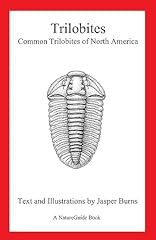 Trilobites common trilobites d'occasion  Livré partout en Belgiqu